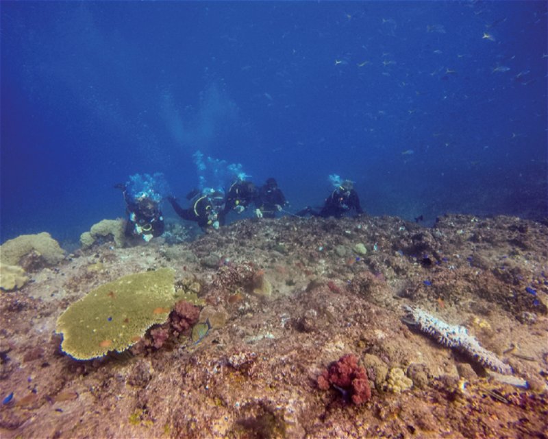 Divesite Image