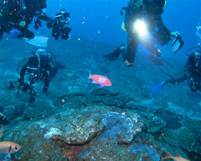 Divesite Image