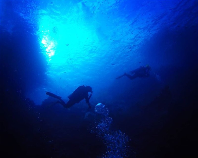 Divesite Image