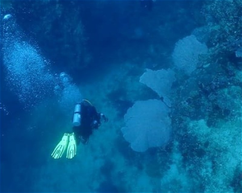Divesite Image