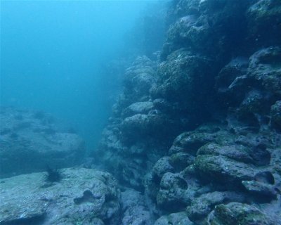Falaises <span class="text-color-primary text-sm"> (★4.0)</span>