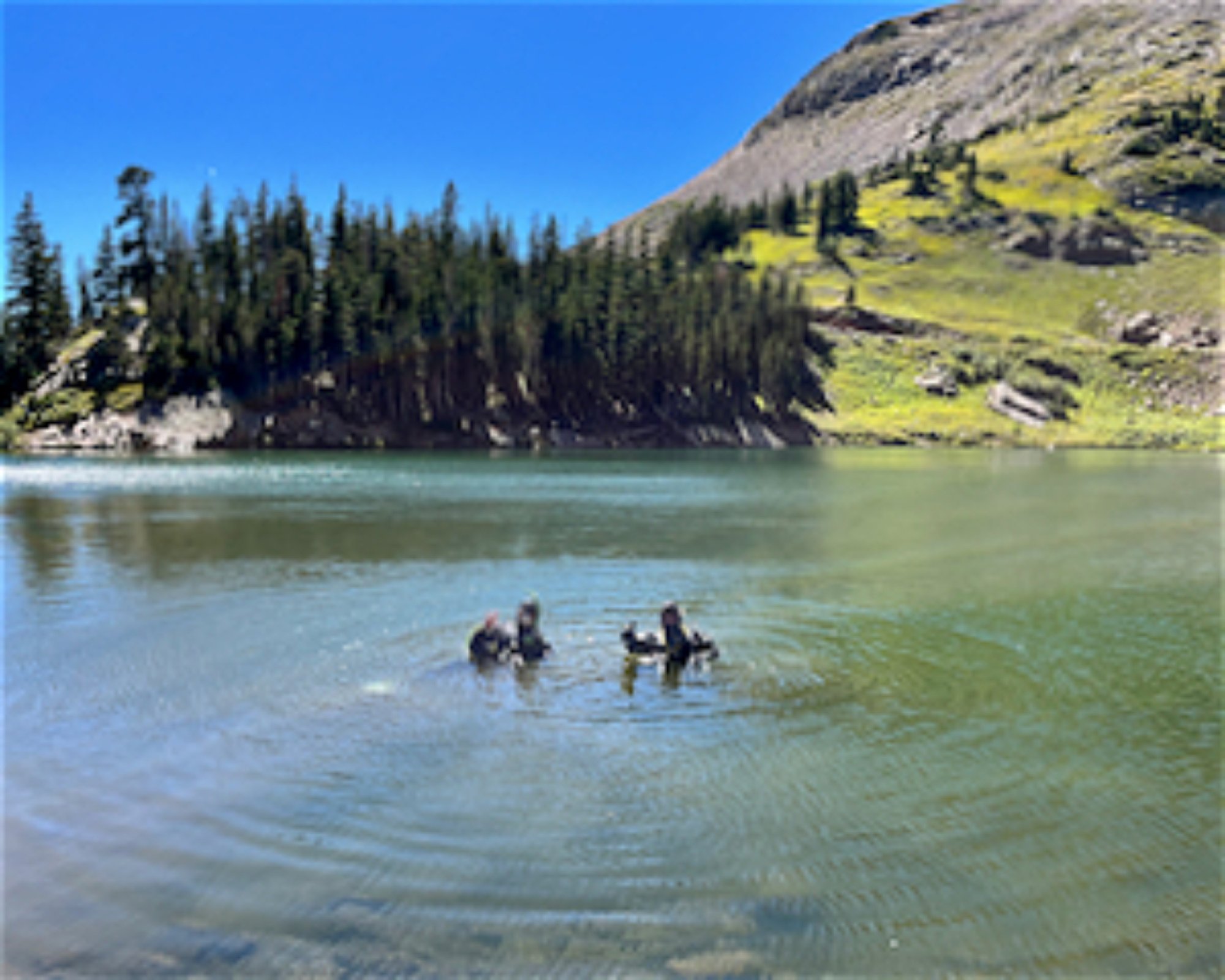 Ocean First Divers, 80301 Boulder