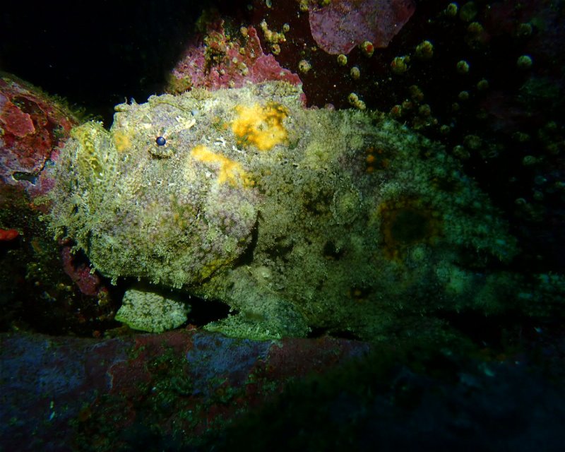 Divesite Image