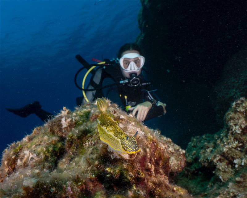 Divesite Image