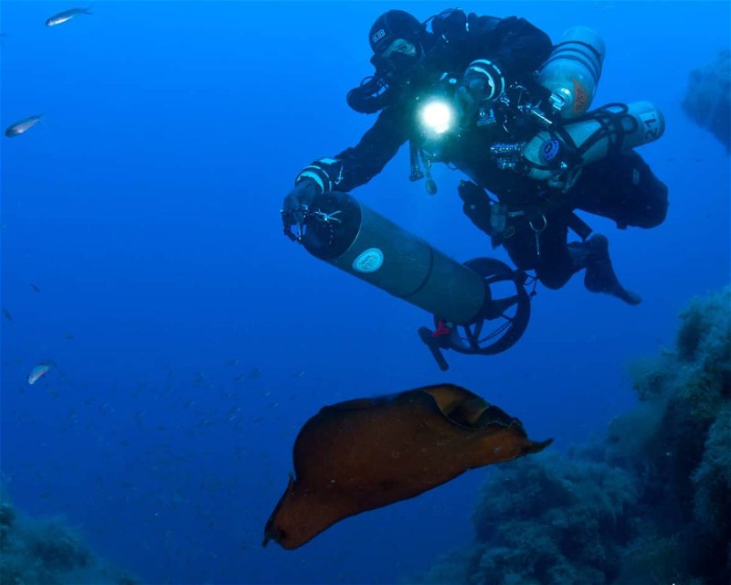 Divesite Image