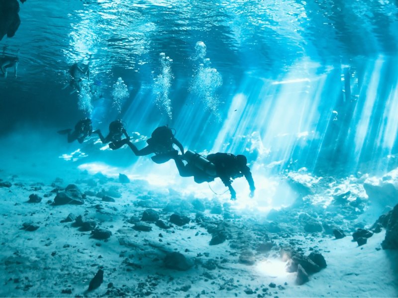 Divesite Image