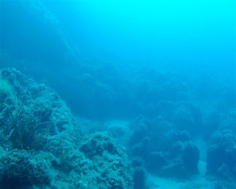 Divesite Image