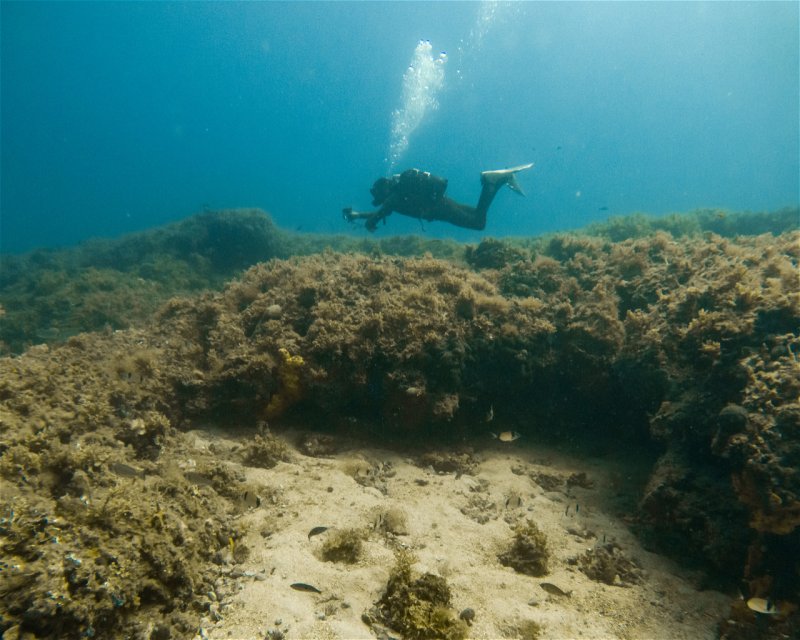 Divesite Image