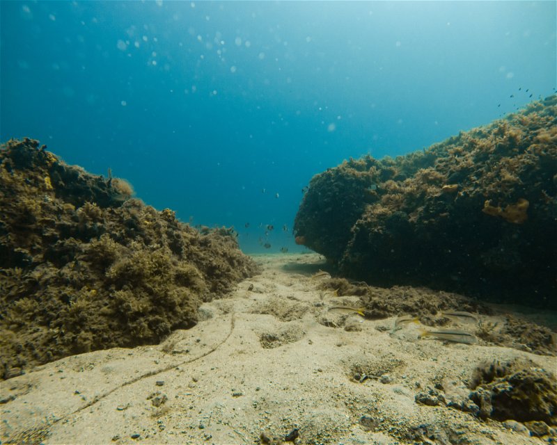 Divesite Image