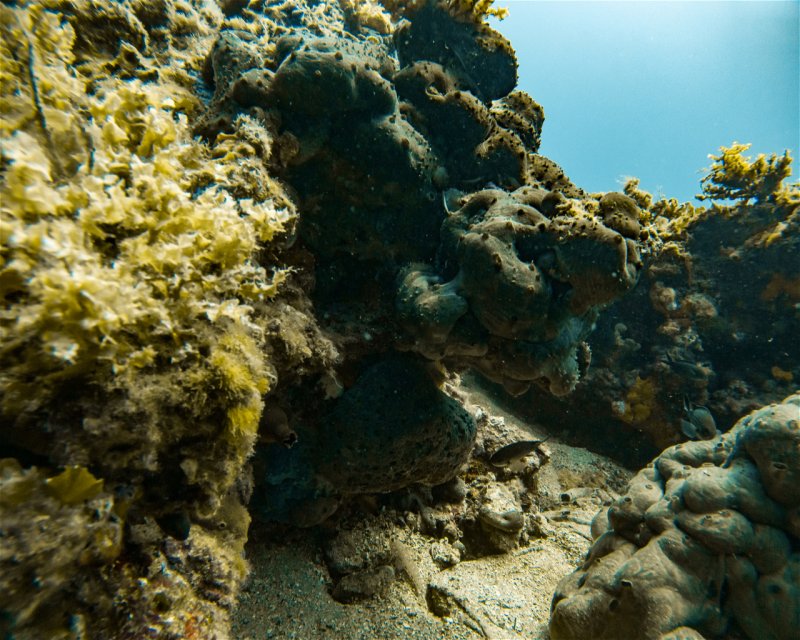 Divesite Image