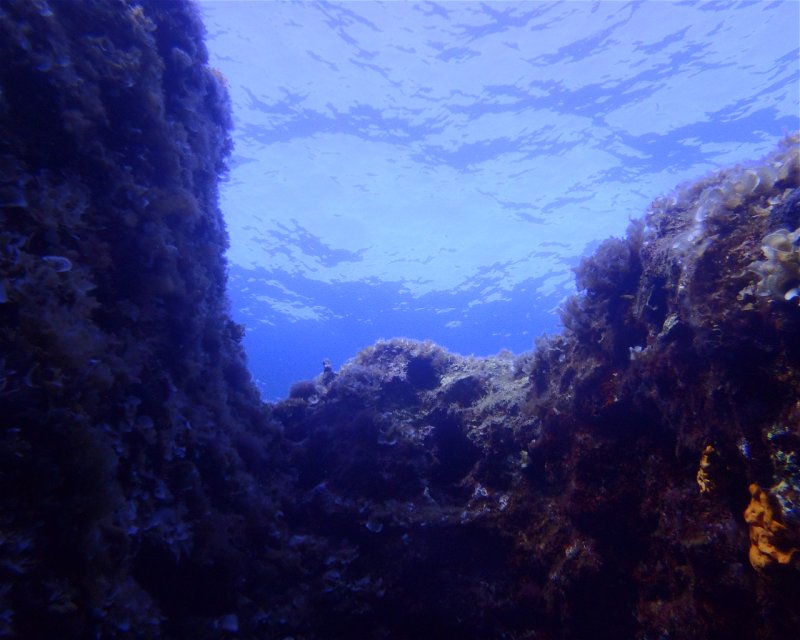 Divesite Image