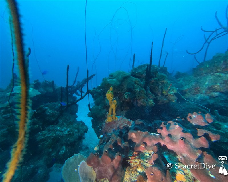 Divesite Image