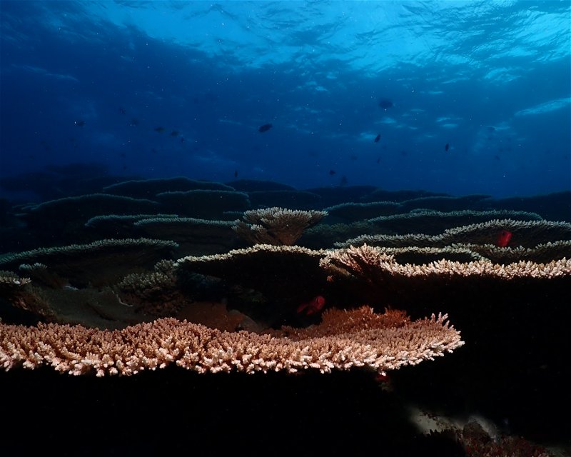 Divesite Image