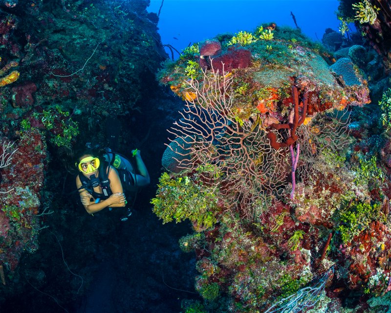 Divesite Image