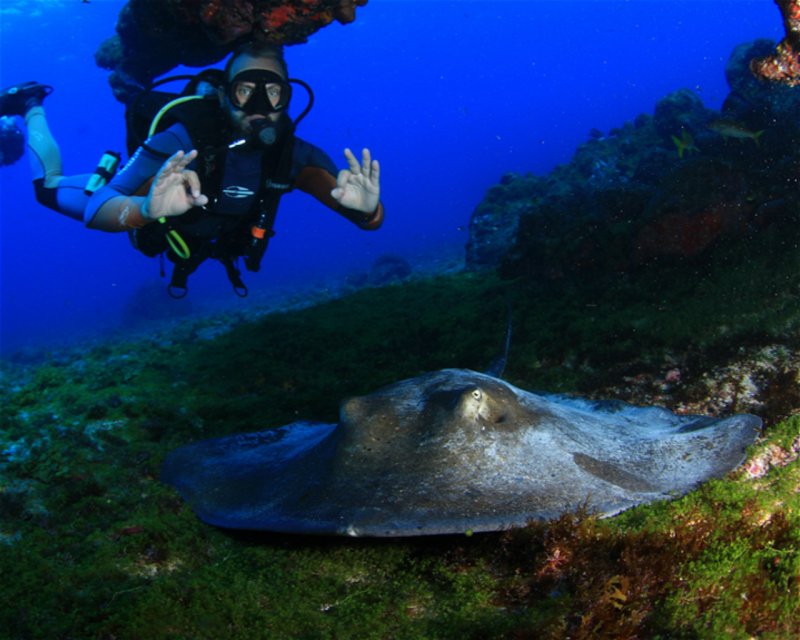 Divesite Image