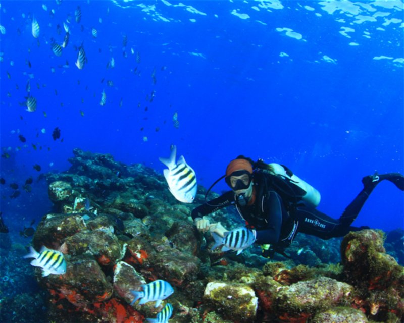 Divesite Image