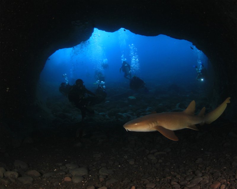 Divesite Image