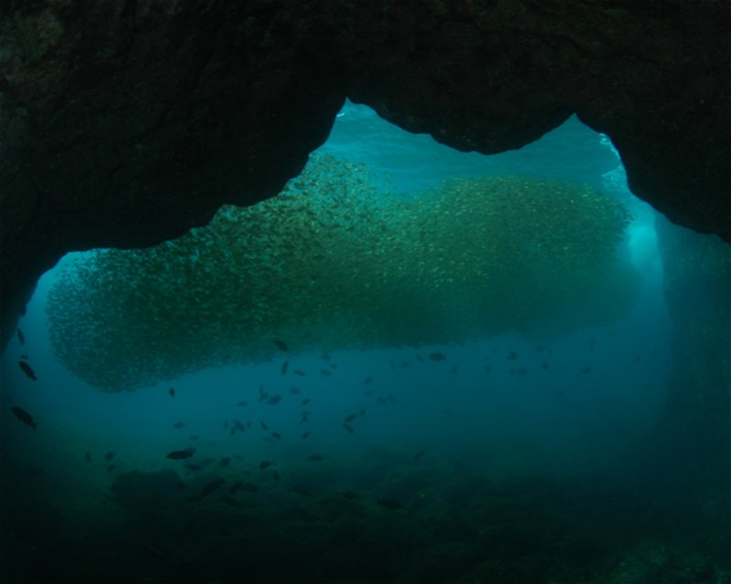 Divesite Image