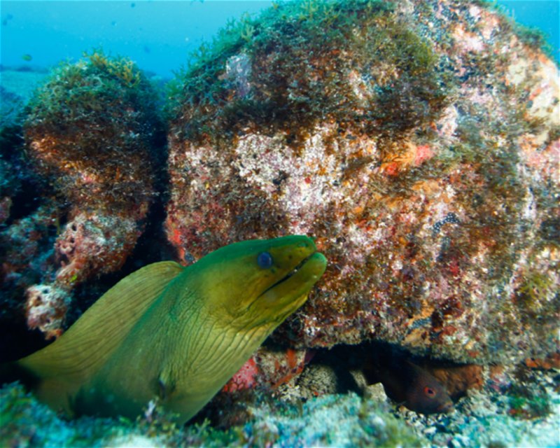 Divesite Image