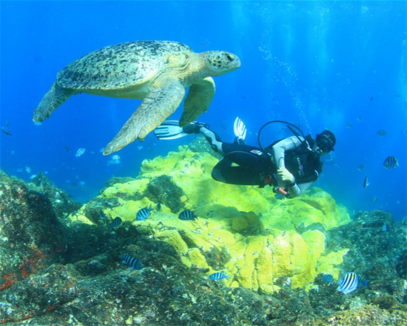 Divesite Image
