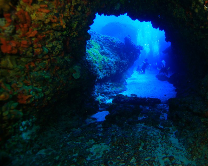 Divesite Image