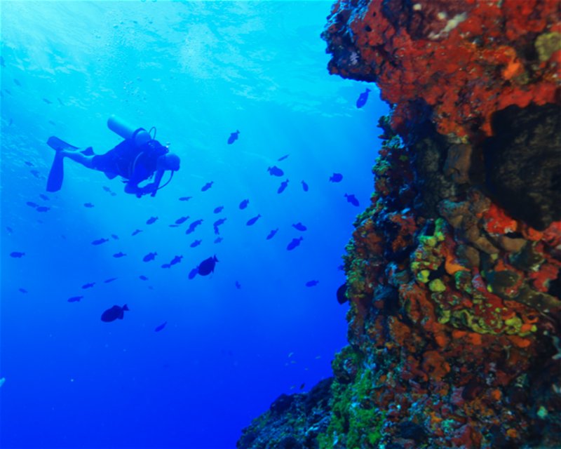 Divesite Image