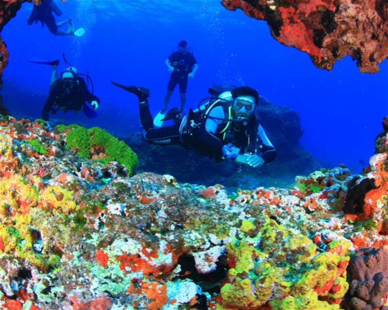 Divesite Image