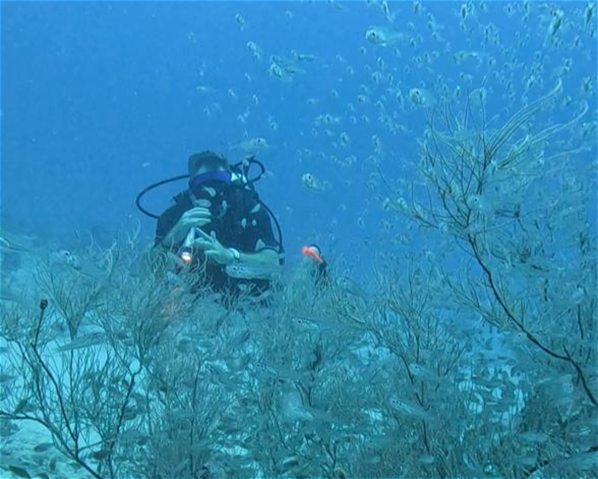Sub Oceanic at Hilton Maldives Amingiri, 20188 North Male Atoll