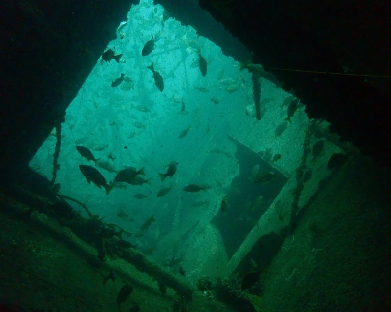 Divesite Image