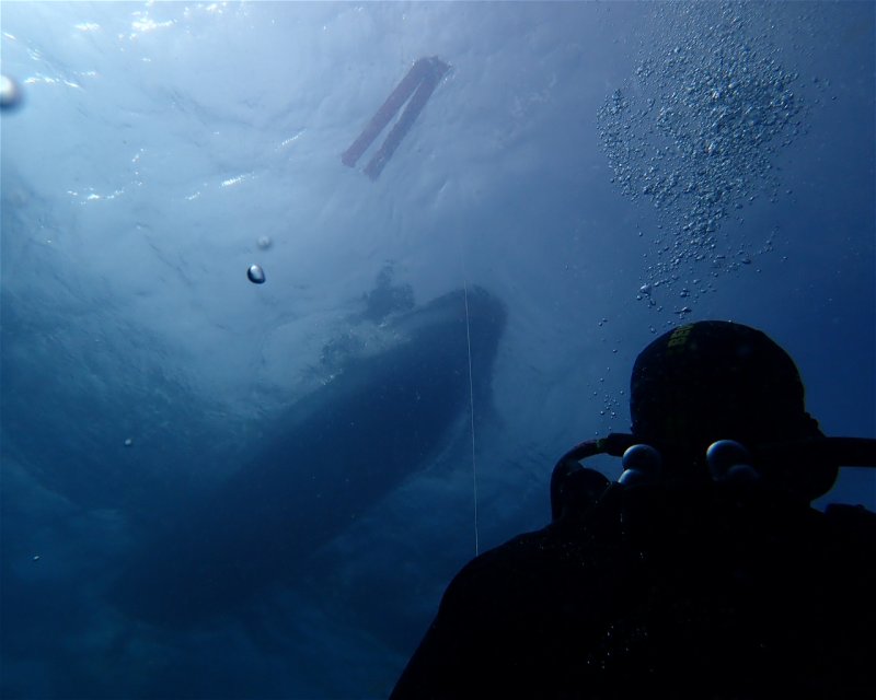 Divesite Image