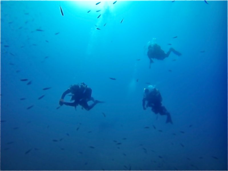 Divesite Image