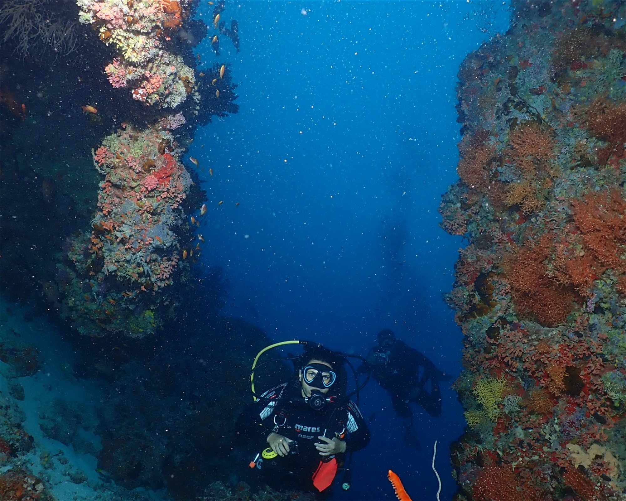 Dive Mission Joy, K. Guraidhoo