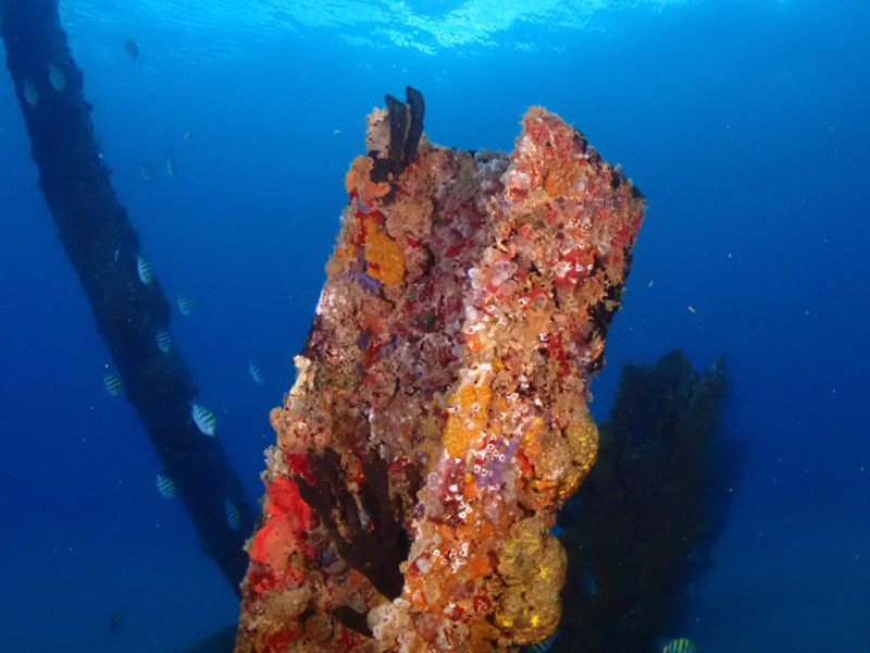 Divesite Image