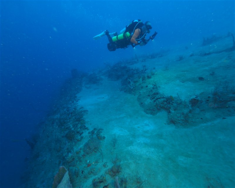 Divesite Image