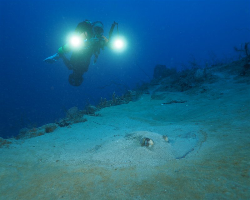 Divesite Image