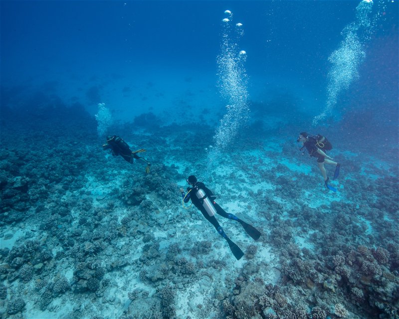 Divesite Image