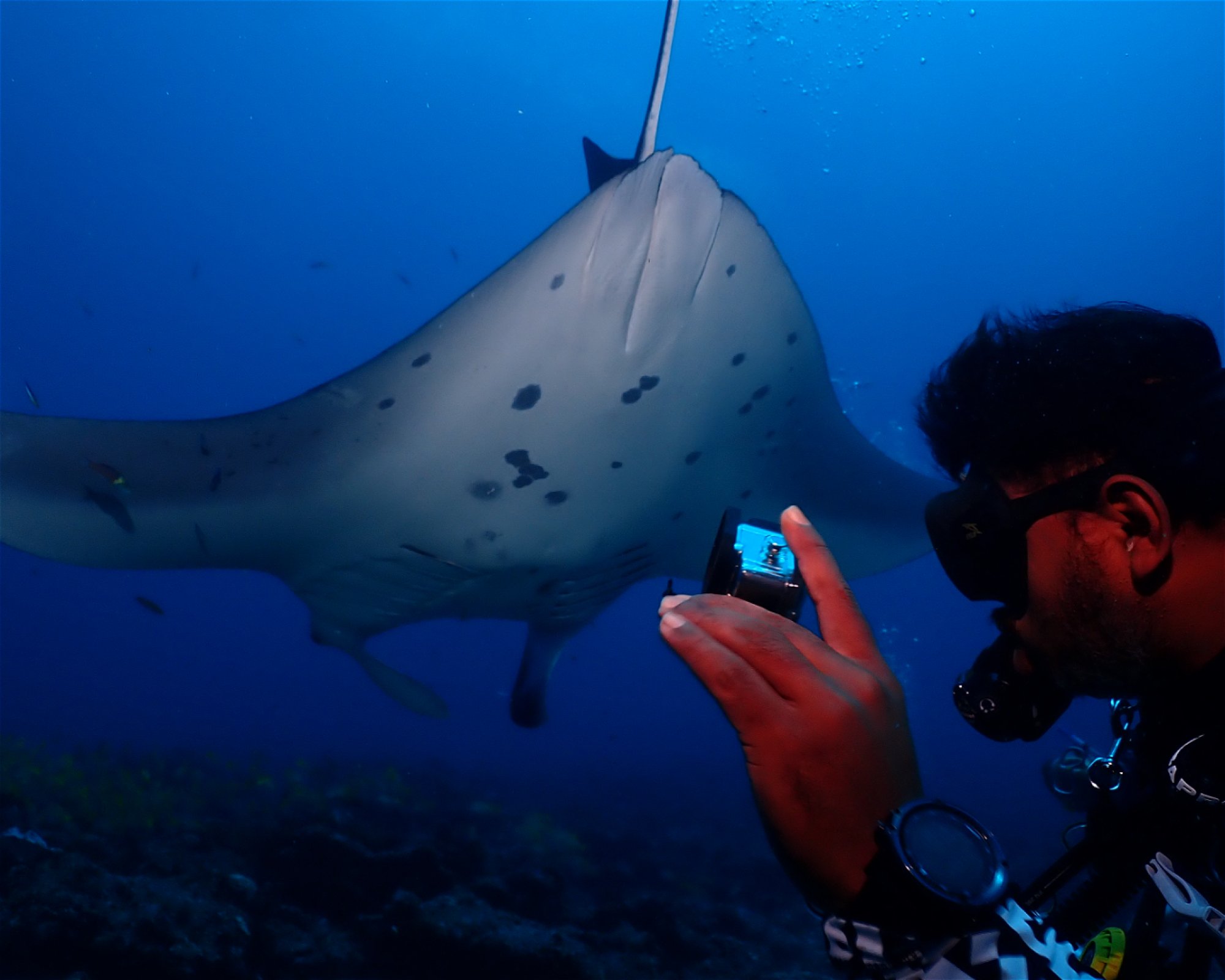 Dive Mission Joy, K. kasanfaru Lagoon