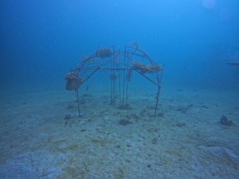Divesite Image