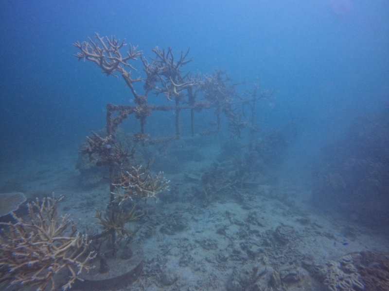 Divesite Image