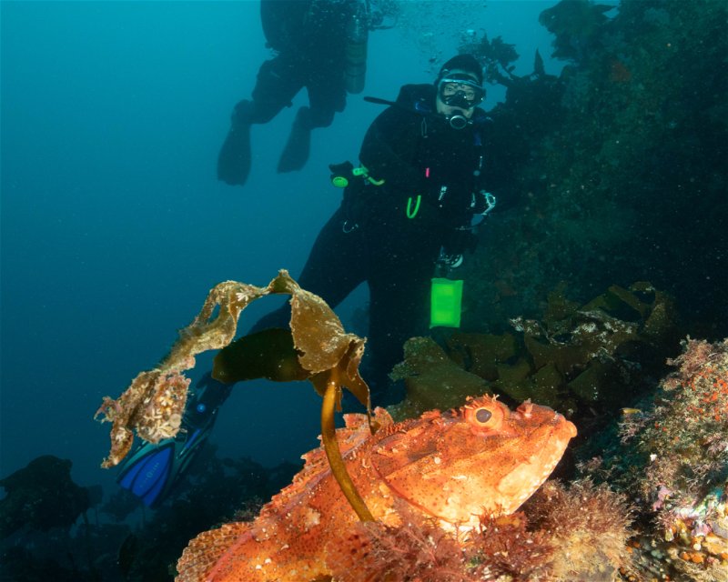 Divesite Image