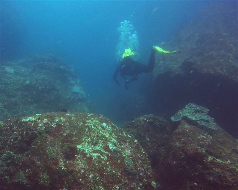 Divesite Image