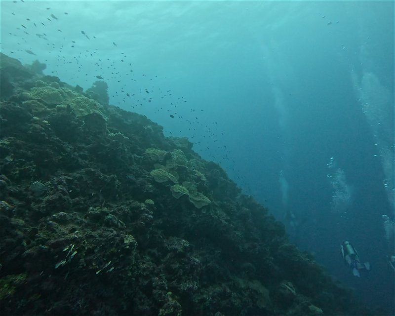 Divesite Image