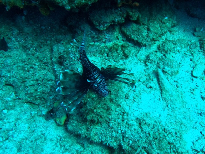 Divesite Image