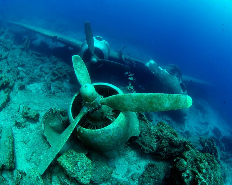 Divesite Image