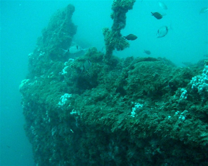 Divesite Image