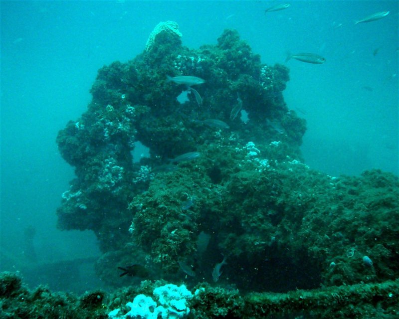 Divesite Image