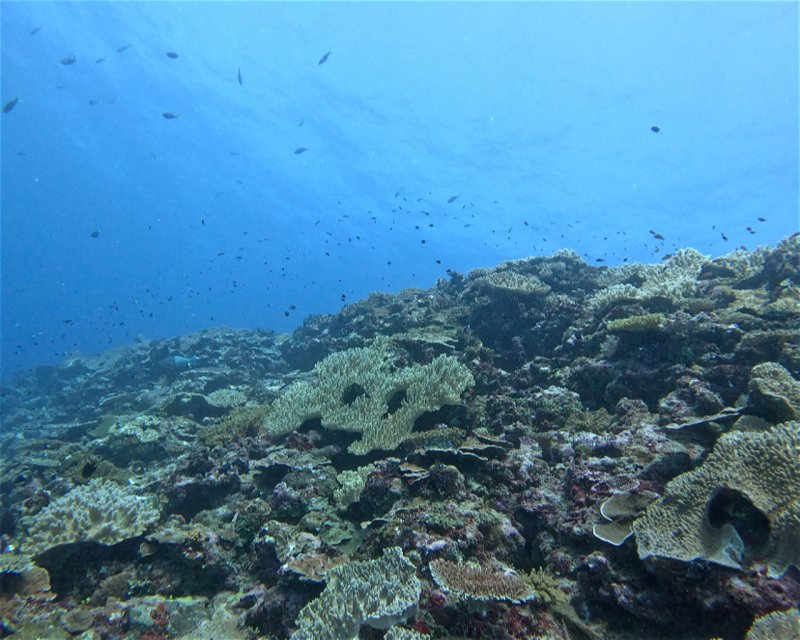 Divesite Image