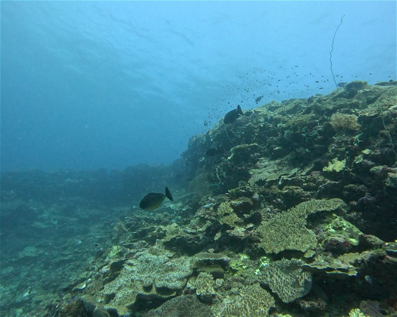 Divesite Image