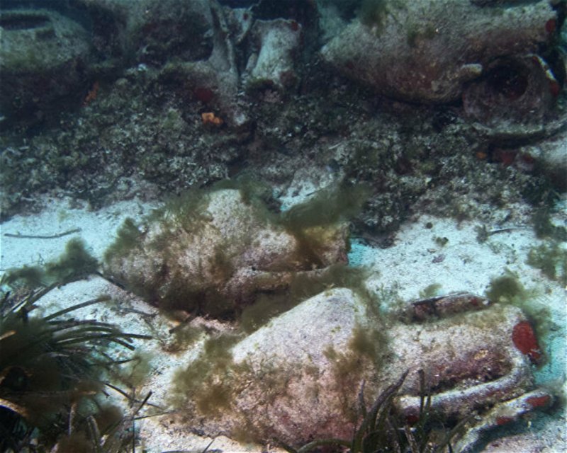Divesite Image