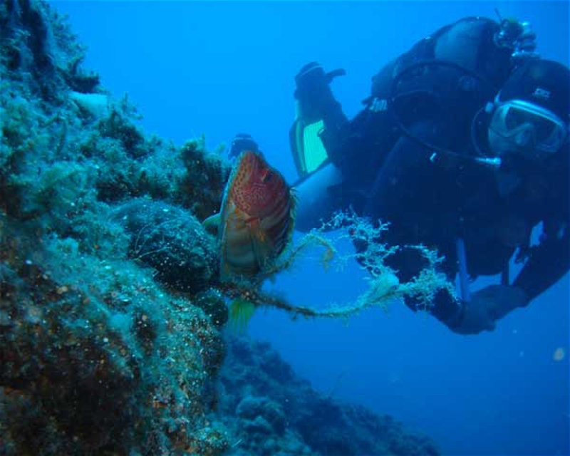 Divesite Image